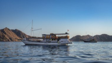 A serene scene shows traditional boats floating on clear blue waters, surrounded by breathtaking rocky mountains rising majestically in the background, Komodo archipelago, Indonesia clipart