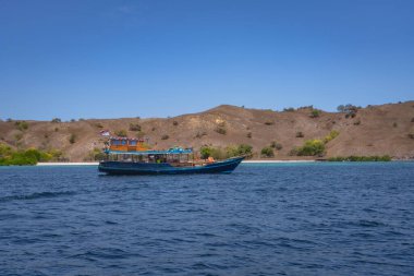 Renkli bir tekne, yemyeşil bir kıyı şeridiyle çevrili berrak mavi okyanus sularında sürükleniyor ve güzel bir deniz manzarası yaratıyor, Komodo, Endonezya.
