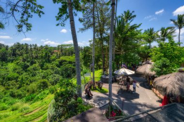 Bali, Endonezya, 10 Ekim 2024 Yeşillik pirinç tarlaları, geleneksel kulübeler ve salıncaklar ile çevrili çarpıcı bir bakış açısıyla gevşemek doğa severler ve yeni deneyimler arayan maceraperest gezginler için mükemmeldir.