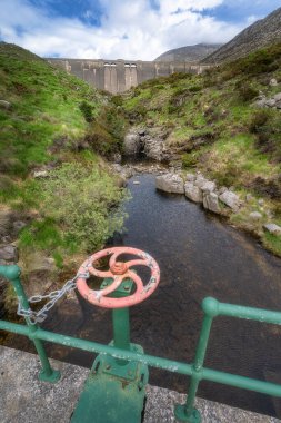 Canlı yeşil bir peyzaj, Kuzey İrlanda 'daki Mourn Dağları' ndaki Sessiz Vadi Barajı 'na doğru akan sakin bir akarsuyun yanında bir kırsal kapakçık sergiliyor.
