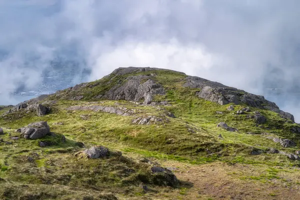 Görkemli Slieve Foye dağ zirvesinin bulunduğu sakin ve resimli bir sahne canlı çimenler ve tüylü bulutlarla çevrili, çeşitli doğa temalı projeler için ideal, Carlingford, İrlanda