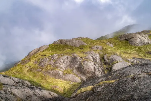 Büyüleyici Slieve Foye dağ manzarası engebeli kayaları, canlı yeşil yosunları ve hafif bir sis örtüsünü sergiliyor, hepsi inanılmaz sakin bir atmosfer yaratmak için birleşiyor, Carlingford, İrlanda