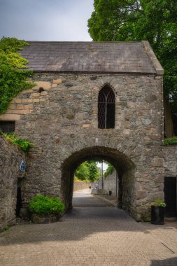 Carlingford, İrlanda, 04 Temmuz 2021 Yeşillik ve çarpıcı tarihi mimariyle dolu tuhaf bir köye açılan güzel bir taş kemer yolunun nefes kesici ve çarpıcı manzarası.