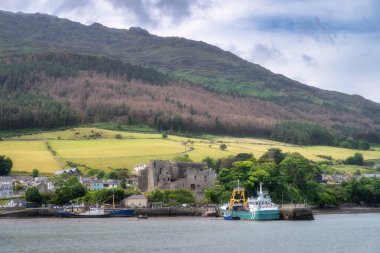 Bereketli yeşil tepeler ve tarihi kalıntılarla çevrili büyüleyici balıkçı tekneleriyle övünen pitoresk bir liman. Hepsi güzel bulutlu bir gökyüzü altında, Carlingford, İrlanda.