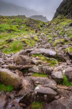 Yalnız bir yürüyüşçü dikkatle sisli ve gür Carrauntoohil dağında kayalık bir yola çıkar, onları saran nefes kesen doğal güzelliğe dalmıştır, Kerry, İrlanda