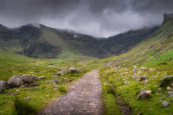 Huzurlu ve huzurlu bir patika, gür, canlı yeşil bir vadi boyunca uzanır, yüksek, görkemli Carrauntoohil dağıyla çevrili dramatik bulutlu gökyüzü altında, Kerry, İrlanda