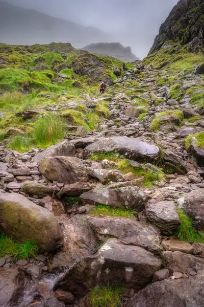 Yalnız bir yürüyüşçü dikkatle sisli ve gür Carrauntoohil dağında kayalık bir yola çıkar, onları saran nefes kesen doğal güzelliğe dalmıştır, Kerry, İrlanda