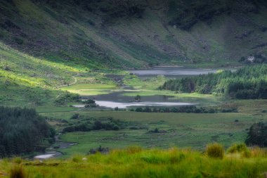Bu çarpıcı dağ Kara Vadi 'de yemyeşil göllerle çevrili temiz göller var. Doğayı seven ve fotoğrafçılar için bir cennet yaratıyorlar. Güzellik arayan Kerry, İrlanda.