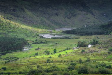 Nefes kesici ve çarpıcı bir manzara, sakin bir manzara olan Kerry, İrlanda 'da huzur içinde yerleşmiş büyüleyici beyaz kulübesi ile, Siyah Vadi ve yuvarlanan tepelerin canlı yeşilliklerini sergiliyor.