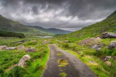Görkemli dağların ve Kara Vadi 'nin çerçevelediği, doğa severler ve fotoğrafçılar için ideal bir yer olan Kerry, İrlanda' nın en görkemli manzarası boyunca pitoresk bir yol esiyor.