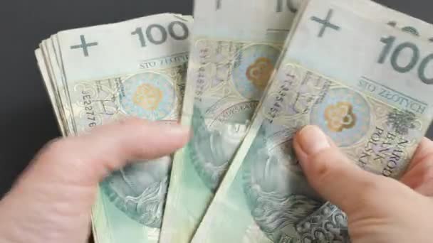 Бизнес Финансы Человек Держит Польский Злотый Руках Пересчитывает Деньги — стоковое видео