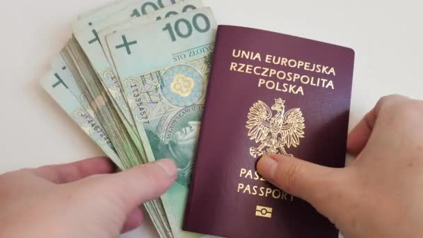 Dinheiro Viagem Zlotych Polonês Passaporte Polonês — Vídeo de Stock