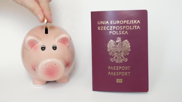 Banco Porquinho Poupanças Viagem Passaporte Polaco — Vídeo de Stock
