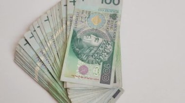 Seyahat parası (Polonya zloti) ve Polonya pasaportu