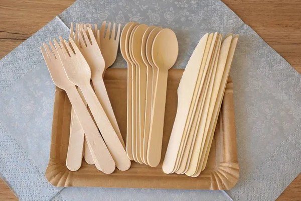 野餐用的木制餐具和纸盘 天然材料 免费塑料 — 图库照片