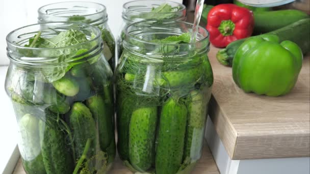 Sour Cucumbers Preserves Winter Woman Cover Cucumbers Salt Water — Stock Video