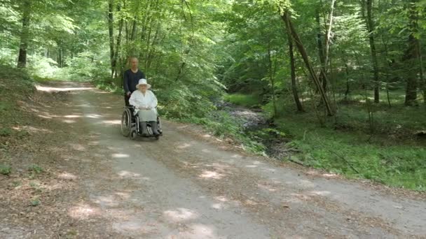Mann Fährt Mit Älterer Frau Rollstuhl Waldspaziergang — Stockvideo