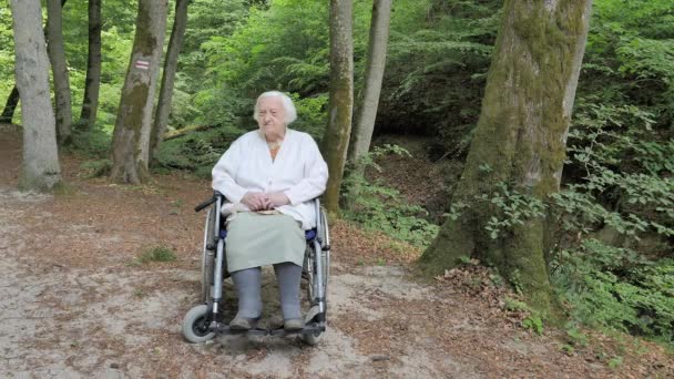 Retrato Mulher Idosa Uma Cadeira Rodas Floresta — Vídeo de Stock