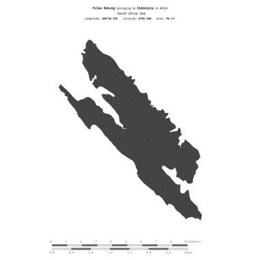 Güney Çin Denizi 'ndeki Pulau Bakung, Endonezya' ya ait, bir bileklik yükseklik haritasında izole edilmiş, mesafe ölçeğinde.