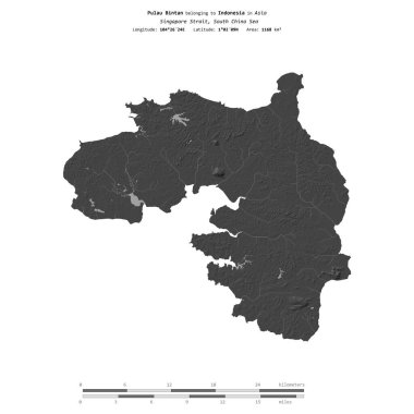Güney Çin Denizi 'ndeki Pulau Bintan, Endonezya' ya ait, bir bileklik yükseklik haritasında izole edilmiş, mesafe ölçeğinde.