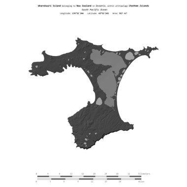 Güney Pasifik Okyanusu 'ndaki Wharekauri Adası, Yeni Zelanda' ya ait, bir bilek yüksekliği haritasında izole edilmiş, mesafe ölçeğinde.