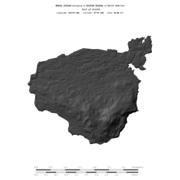 stock image Whale Island in the Gulf of Alaska, belonging to United States, isolated on a bilevel elevation map, with distance scale