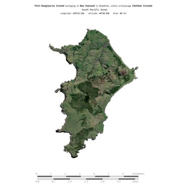 Güney Pasifik Okyanusu 'ndaki Pitt-Rangiauria Adası, Yeni Zelanda' ya ait, 19 Aralık 2021 'de çekilmiş bir uydu görüntüsüyle izole edilmiştir.