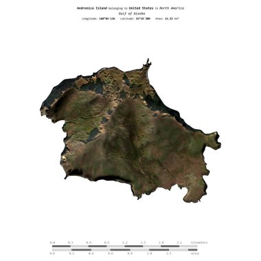 Amerika Birleşik Devletleri 'ne ait Alaska Körfezi' ndeki Andronica Adası, 15 Ekim 2020 'de çekilmiş bir uydu görüntüsüyle izole edildi.