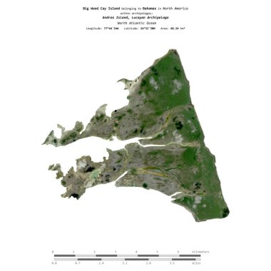 Bahamalar 'a ait Kuzey Atlantik Okyanusu' ndaki Büyük Orman Cay Adası 3 Aralık 2020 'de çekilen uydu görüntüsüyle izole edilmiştir.