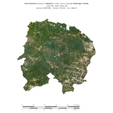 Endonezya 'ya ait Java Denizi' ndeki Pulau Billiton, 12 Eylül 2019 'da çekilmiş bir uydu görüntüsüyle izole edildi.
