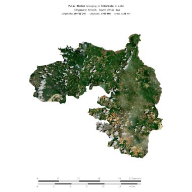 Endonezya 'ya ait Güney Çin Denizi' nde bulunan Pulau Bintan, 24 Temmuz 2023 'te çekilmiş bir uydu görüntüsüyle izole edilmiştir.