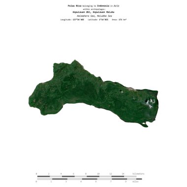 Endonezya 'ya ait Molukka Denizi' ndeki Pulau Bisa, 12 Kasım 2019 'da çekilmiş bir uydu görüntüsüyle izole edildi.