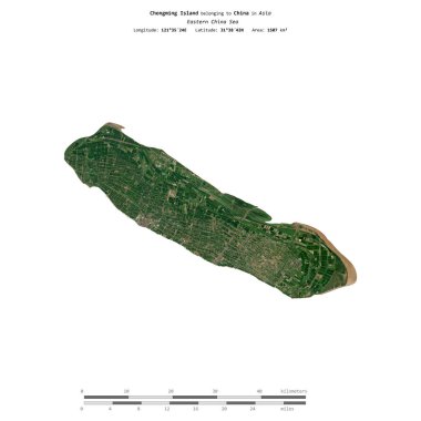 Çin 'e ait olan Doğu Çin Denizi' ndeki Chongming Adası 7 Eylül 2020 'de çekilmiş uydu görüntüsüyle izole edilmiştir.