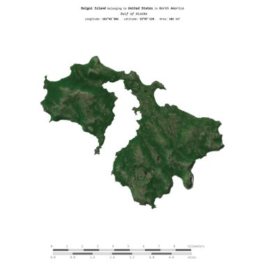 Amerika Birleşik Devletleri 'ne ait Alaska Körfezi' ndeki Dolgoi Adası 15 Temmuz 2021 'de çekilmiş bir uydu görüntüsüyle izole edilmiştir.
