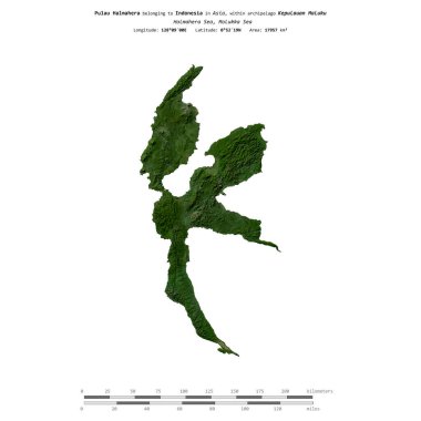 Endonezya 'ya ait Molukka Denizi' ndeki Pulau Halmahera, 7 Mayıs 2012 'de çekilmiş bir uydu görüntüsüyle izole edilmiştir.