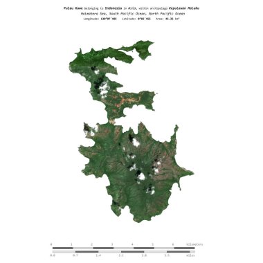 Endonezya 'ya ait Halmahera Denizi' ndeki Pulau Kawe, 23 Ocak 2020 'de bir uydu görüntüsü ile izole edildi.