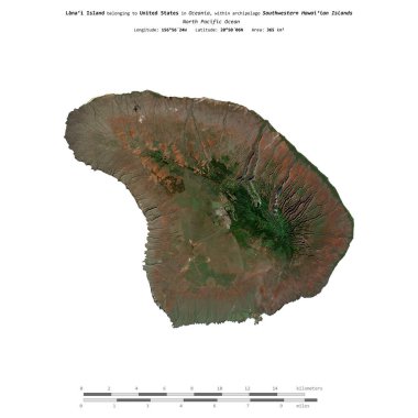 Kuzey Pasifik Okyanusu 'ndaki Lanai Adası, 6 Ocak 2020' de çekilmiş bir uydu görüntüsüyle izole edilmiştir.