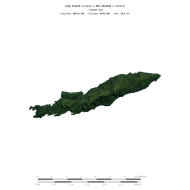 Tasman Denizi 'nde bulunan ve Yeni Zelanda' ya ait olan Long Island, 29 Ocak 2021 'de çekilmiş bir uydu görüntüsüyle izole edilmiştir.