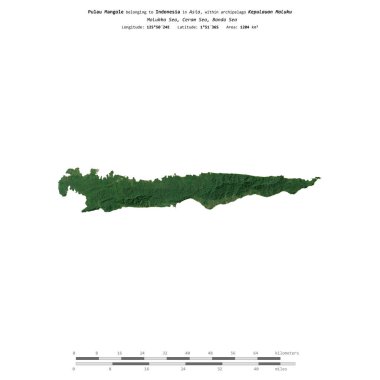 Ceram Denizi 'ndeki Pulau Mangole, Endonezya' ya ait, 28 Eylül 2018 'de çekilmiş bir uydu görüntüsüyle izole edildi.