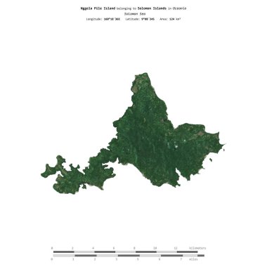 Solomon Denizi 'ndeki Nggela Pile Adası, Solomon Adaları' na ait. 12 Haziran 2019 'da çekilmiş bir uydu görüntüsü.