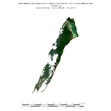 Belize 'ye ait Karayip Denizi' ndeki Kuzey Ambergris Caye Adası 20 Şubat 2024 'te çekilmiş uydu görüntüsüyle izole edilmiştir.