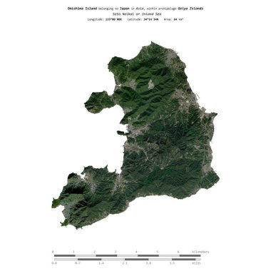 Japonya 'ya ait Seto Naikai veya İç Denizi' ndeki Omishima Adası, 3 Nisan 2023 'te çekilmiş bir uydu görüntüsüyle izole edilmiştir.