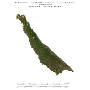 Amerika Birleşik Devletleri 'ne ait olan Kuzey Pasifik Okyanusu' ndaki San Clemente Adası 25 Mart 2019 'da çekilmiş uydu görüntüsüyle izole edilmiştir.