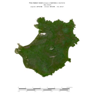 Avustralya 'ya ait Bass Boğazı' ndaki üç Hummock Adası 29 Aralık 2019 'da çekilen uydu görüntüsüyle izole edildi.