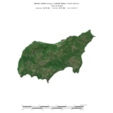 Amerika Birleşik Devletleri 'ne ait Alaska Körfezi' ndeki Ukolnoi Adası, 15 Temmuz 2021 'de çekilmiş bir uydu görüntüsüyle izole edilmiştir.