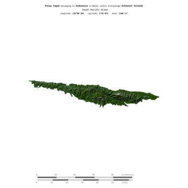 Endonezya 'ya ait Güney Pasifik Okyanusu' ndaki Pulau Yapen, 21 Mart 2018 'de çekilmiş bir uydu görüntüsüyle izole edildi.
