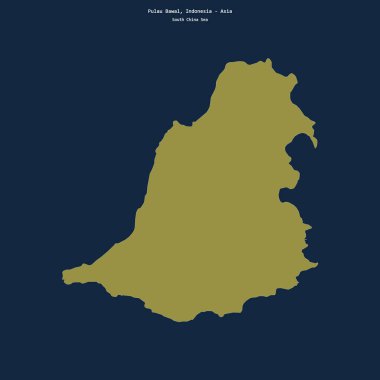 Güney Çin Denizi 'ndeki Pulau Bawal' ın şekli, Endonezya 'ya ait.