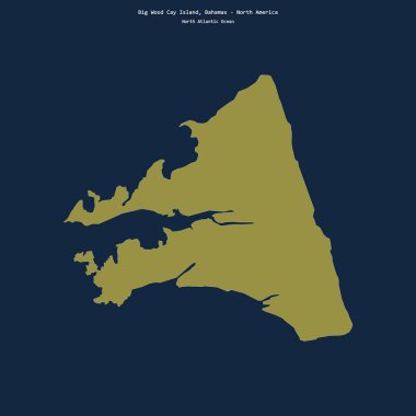 Bahamalar 'a ait Kuzey Atlantik Okyanusu' ndaki Büyük Orman Cay Adası.
