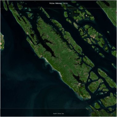 Endonezya 'ya ait Güney Çin Denizi' ndeki Pulau Bakung, 12 Nisan 2021 'de çekilmiş bir uydu görüntüsünün karesini aldı.