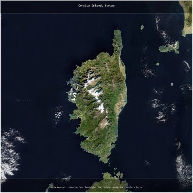 Corsica Island in the Ligurian Sea, belonging to France, cropped to square on a satellite image taken in December 15, 2023 clipart